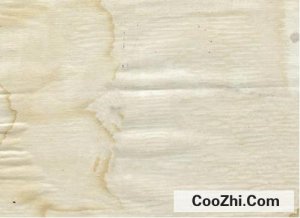 ǽֽ������ô��