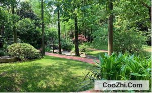 �̻��ʶ��ٱȽϺ�