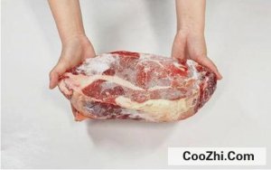 ʳ�ε���������