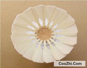 ��ë�������ʹ�