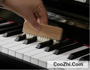 ���ٳ���������