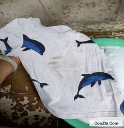 ���ȥ���ڰ�����