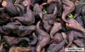 ����������ô����ʱ�䳤