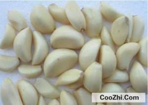 <b>�������������ư취</b>