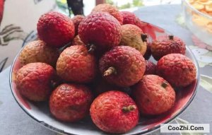 ˮ������֦��ô��������