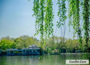 ��������ʲô�