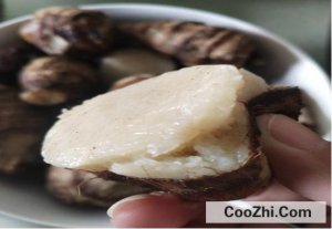 ��ͷ��ô����Ų���