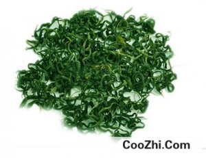 ���Ҷ���ɲ�Ҷ��α���