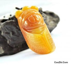 ��������α���