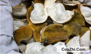 ��ô���������ĳ�Ƥ