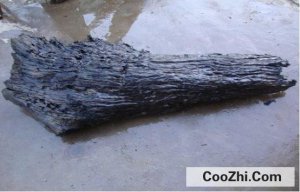 ��ľ������ʲô