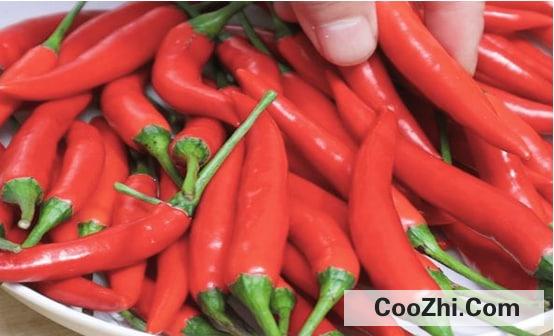 新鲜辣椒怎么放冰箱保存方法