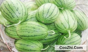 ��ôѡ�ڿڴ�����