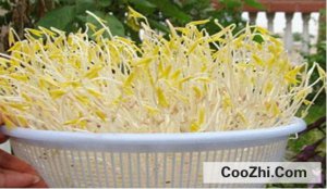 Ϊʲô����ˮ�̶�ѿ���Ŀ�