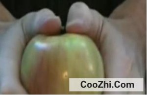 �����˺ƻ������