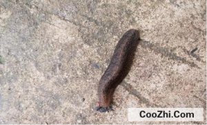 ��ô��������˵���ı����