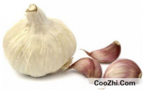 ���ȥ��������ζ
