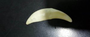 �����ʺ�Ů�˴���