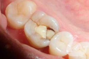 �μ���������ʲô��˼