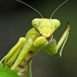 �������滹�Ǻ��棿