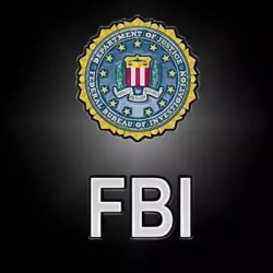 fbl��ʲô��˼��